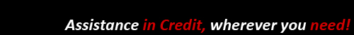 International credit risk assessment reports